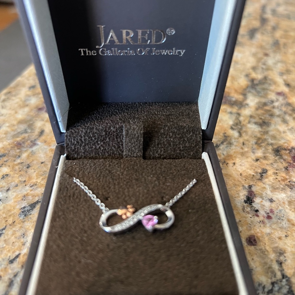Silver Paw Print and Pink Infinity Pendant Necklace